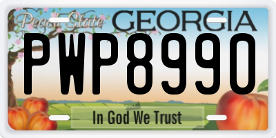 GA license plate PWP8990