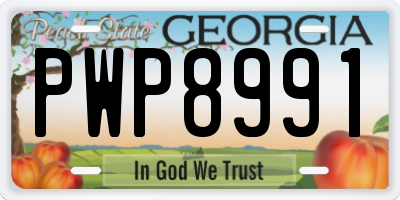 GA license plate PWP8991