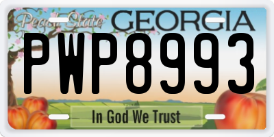 GA license plate PWP8993