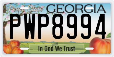 GA license plate PWP8994