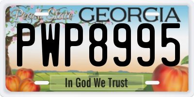 GA license plate PWP8995