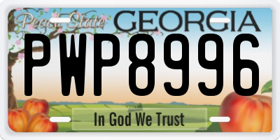 GA license plate PWP8996