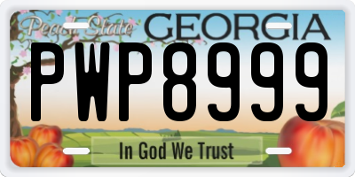 GA license plate PWP8999