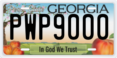 GA license plate PWP9000