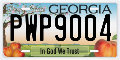GA license plate PWP9004