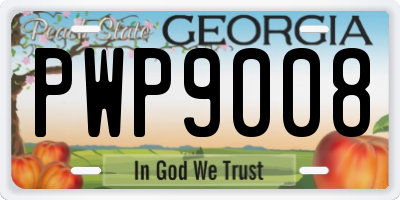 GA license plate PWP9008