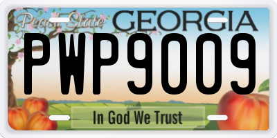 GA license plate PWP9009