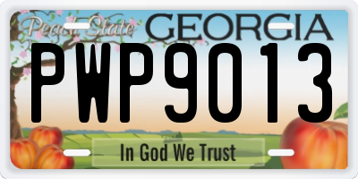GA license plate PWP9013
