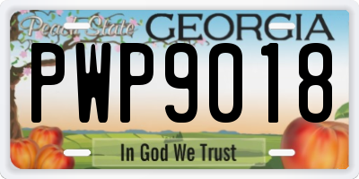 GA license plate PWP9018