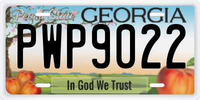 GA license plate PWP9022
