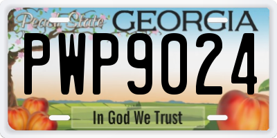 GA license plate PWP9024