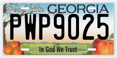 GA license plate PWP9025