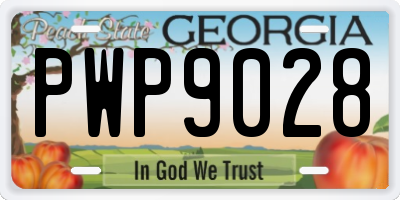 GA license plate PWP9028
