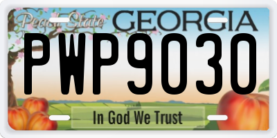 GA license plate PWP9030