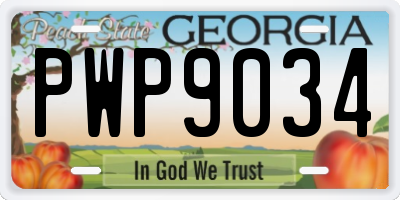GA license plate PWP9034