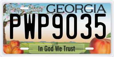 GA license plate PWP9035
