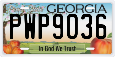 GA license plate PWP9036