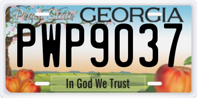 GA license plate PWP9037