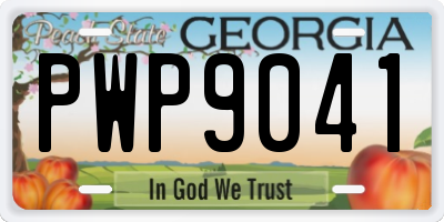 GA license plate PWP9041
