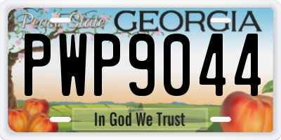 GA license plate PWP9044