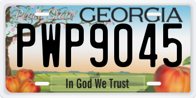 GA license plate PWP9045