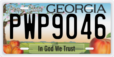 GA license plate PWP9046