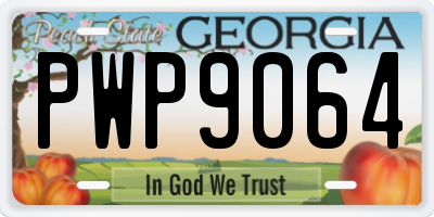 GA license plate PWP9064