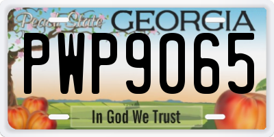 GA license plate PWP9065