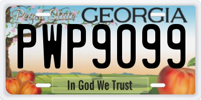 GA license plate PWP9099
