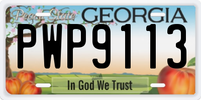 GA license plate PWP9113
