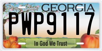 GA license plate PWP9117