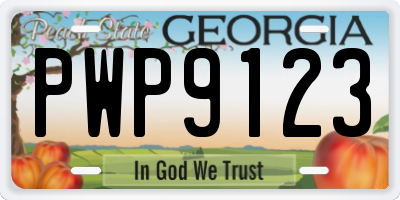 GA license plate PWP9123