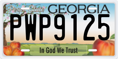 GA license plate PWP9125