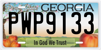 GA license plate PWP9133