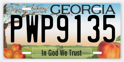 GA license plate PWP9135