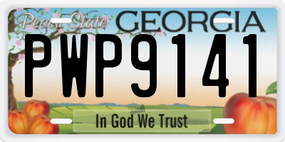 GA license plate PWP9141