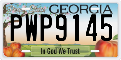 GA license plate PWP9145