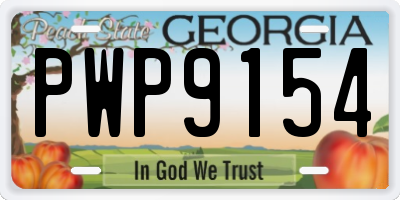 GA license plate PWP9154