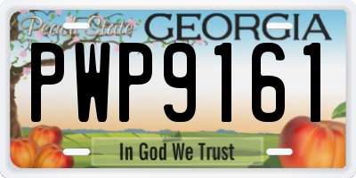GA license plate PWP9161