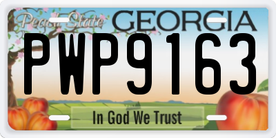 GA license plate PWP9163