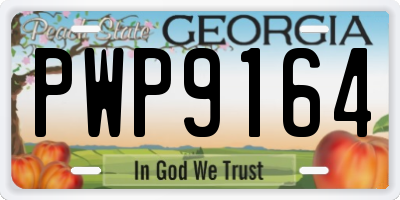 GA license plate PWP9164