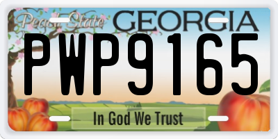 GA license plate PWP9165