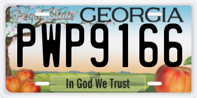 GA license plate PWP9166