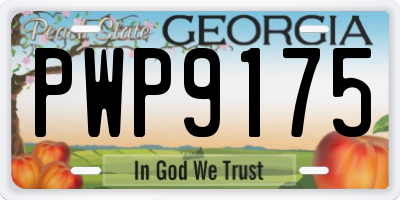 GA license plate PWP9175