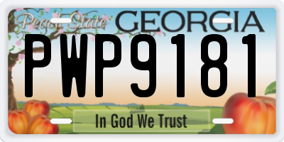 GA license plate PWP9181