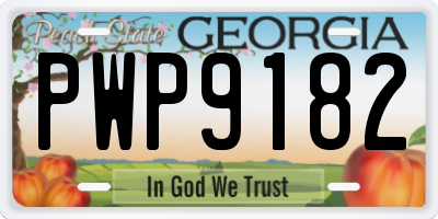 GA license plate PWP9182