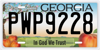 GA license plate PWP9228
