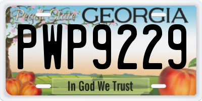 GA license plate PWP9229