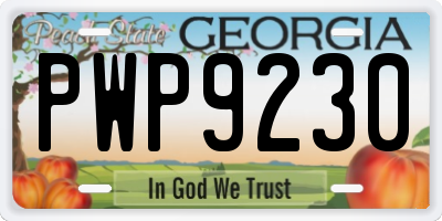 GA license plate PWP9230