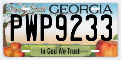 GA license plate PWP9233